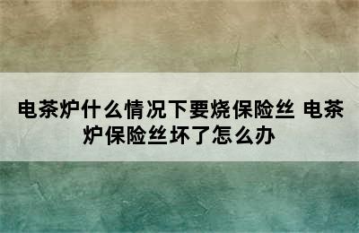 电茶炉什么情况下要烧保险丝 电茶炉保险丝坏了怎么办